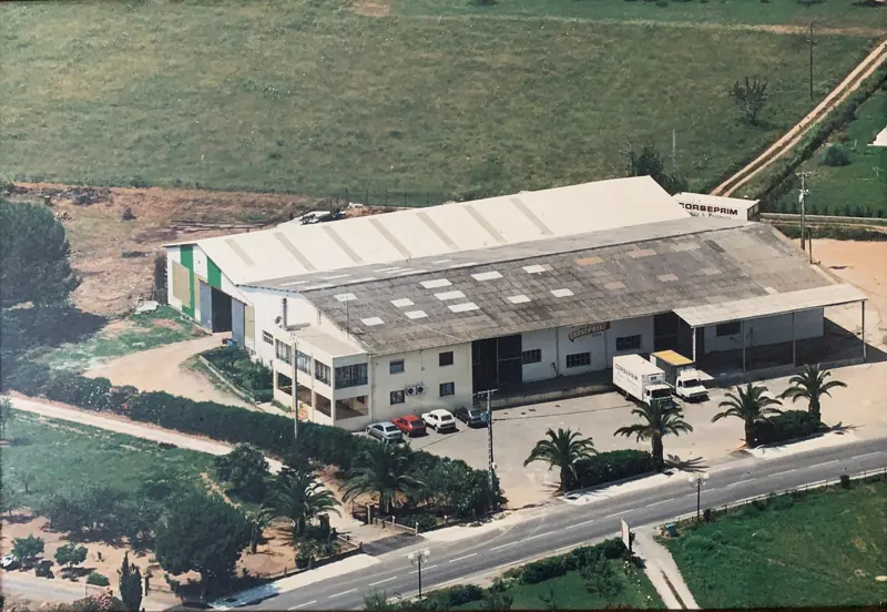 Vue aérienne ancienne du siège de Venzolasca, entouré de champs et de palmiers
