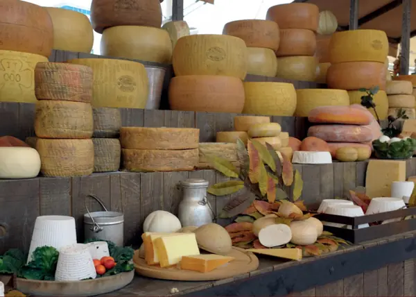 Meules de fromages affinés sur des étagères en bois