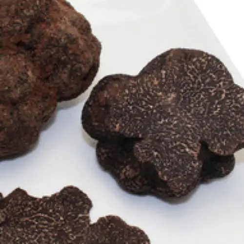 Truffes noires posées sur une assiette blanche