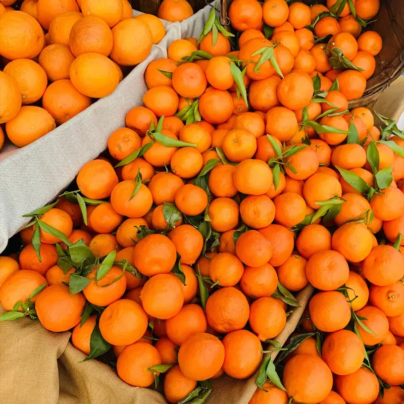 Cagettes d'oranges avec leurs feuilles
